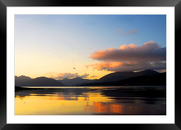 Ballachulish Twilight Framed Mounted Print by Jacqi Elmslie