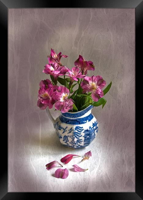 Pink Flowers and Blue Jug Framed Print by Jacqi Elmslie