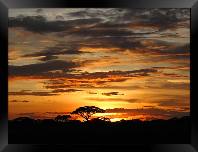 African Sunset Framed Print by Jacqi Elmslie