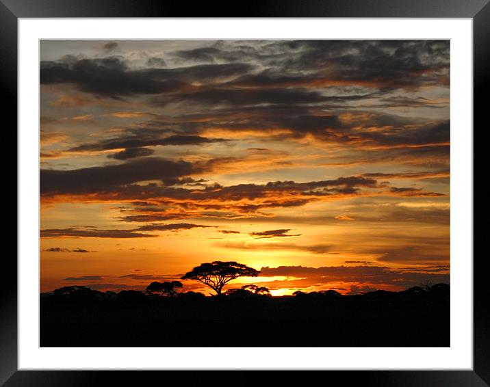 African Sunset Framed Mounted Print by Jacqi Elmslie