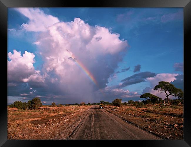 Storm Coming in the Masai Mara Framed Print by Jacqi Elmslie