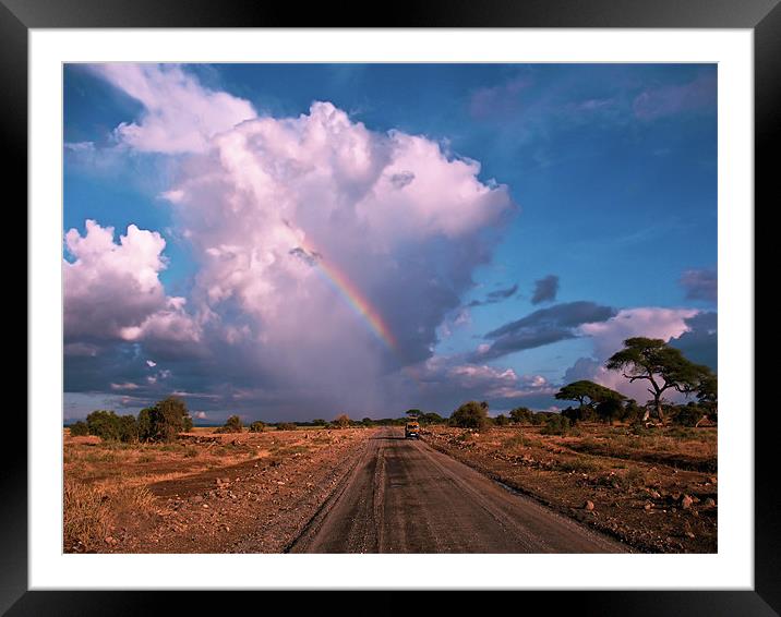 Storm Coming in the Masai Mara Framed Mounted Print by Jacqi Elmslie
