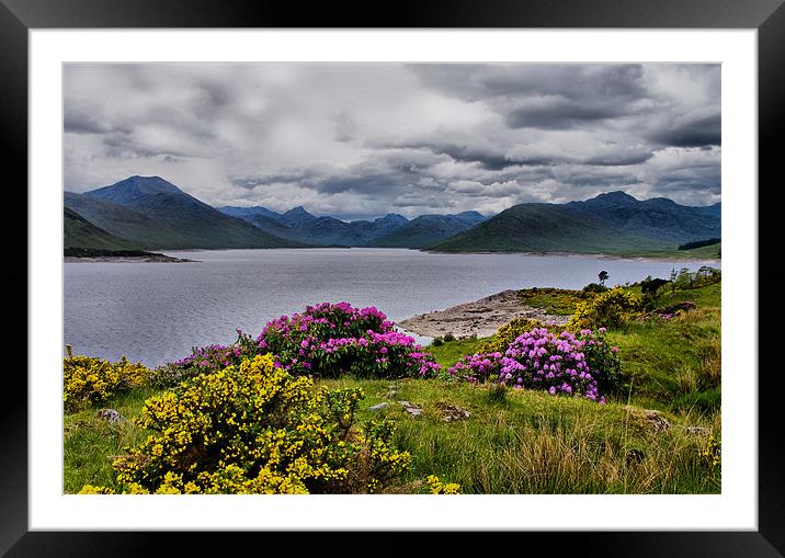 Loch Quoich Framed Mounted Print by Jacqi Elmslie