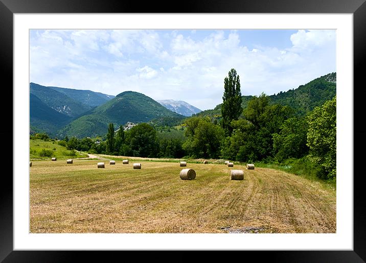 Early Harvest in France Framed Mounted Print by Jacqi Elmslie