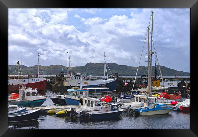 Fishing Boats in Scotland Framed Print by Jacqi Elmslie