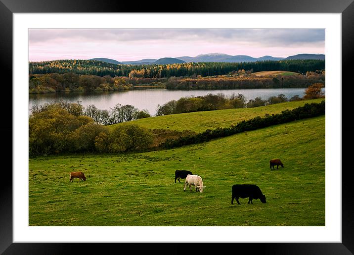 Rural Tranquillity Scotland Framed Mounted Print by Jacqi Elmslie