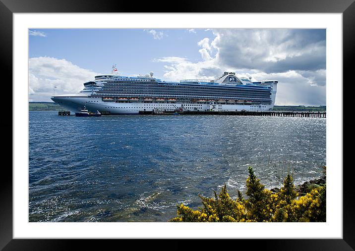 Caribbean Princess Framed Mounted Print by Jacqi Elmslie