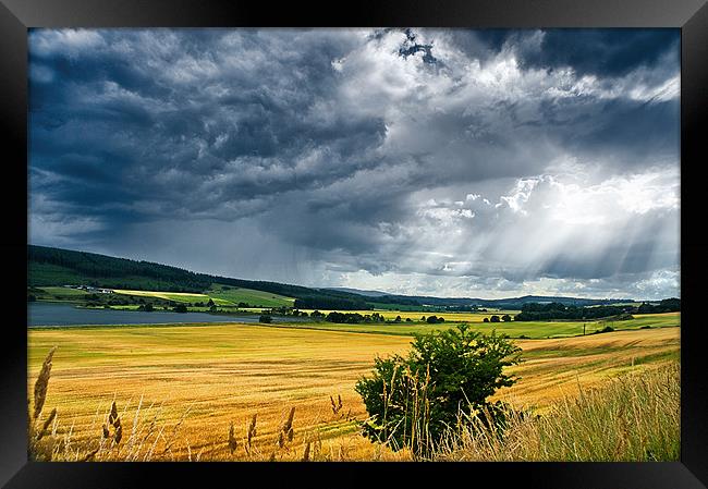 Storm Clouds and Sunbeams Framed Print by Jacqi Elmslie