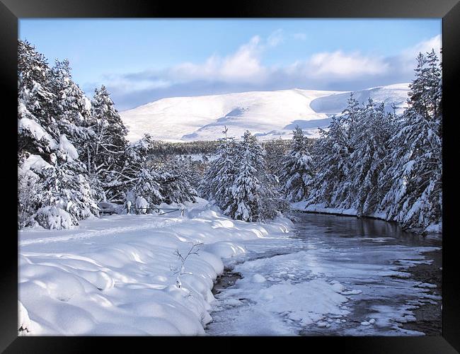 Perfect Skiing Weather Framed Print by Jacqi Elmslie