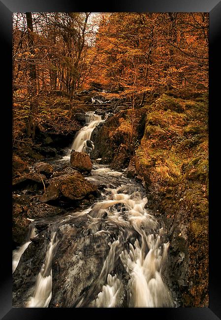  Dob Ghyll in Autumn Framed Print by Jacqi Elmslie