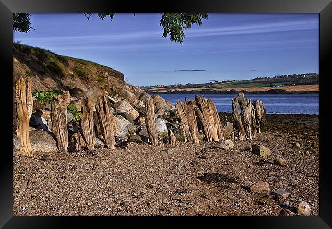  Natural Sculptures by the Cromarty Firth Framed Print by Jacqi Elmslie