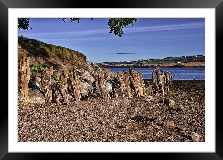  Natural Sculptures by the Cromarty Firth Framed Mounted Print by Jacqi Elmslie