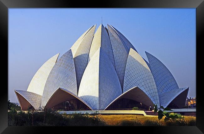 The Lotus Temple Framed Print by Jacqi Elmslie