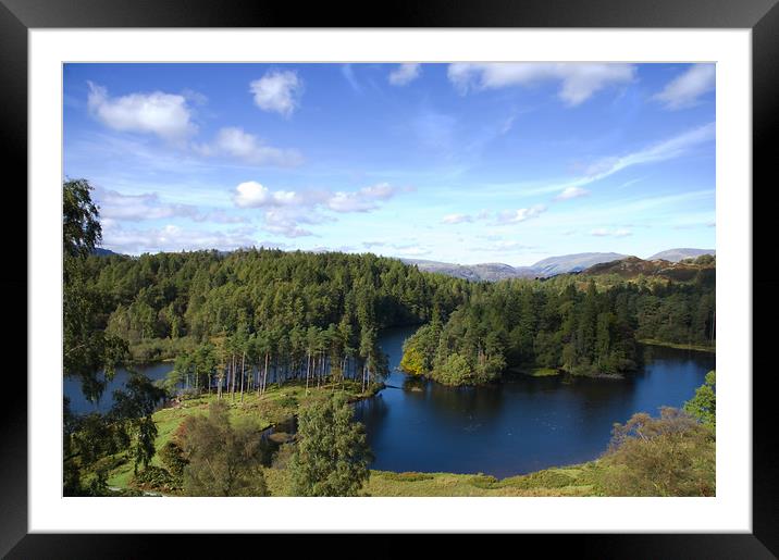 Tarn Hows, the Lake District Framed Mounted Print by Jacqi Elmslie