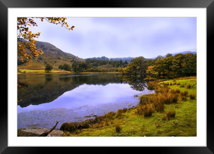 Autumn by Grasmere in the Lake District Framed Mounted Print by Jacqi Elmslie