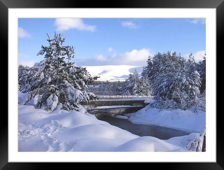 Cairngorm in Winter Framed Mounted Print by Jacqi Elmslie