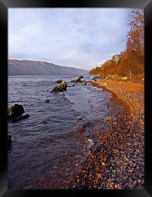 Loch Ness Shoreline Framed Print by Jacqi Elmslie