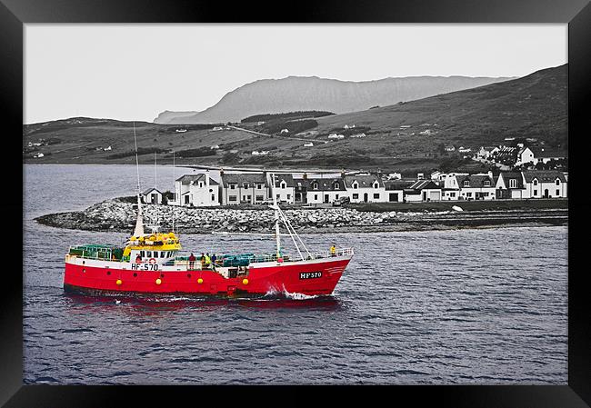 Sailing Into Ullapool Harbour Framed Print by Jacqi Elmslie