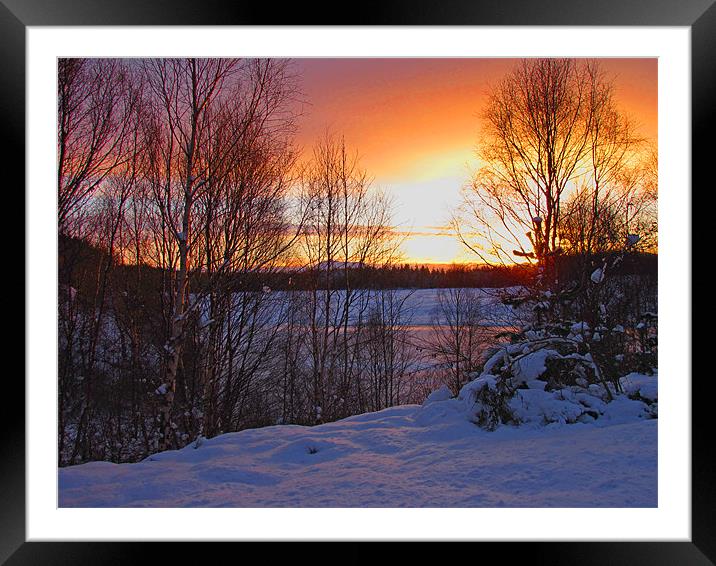 Sundown in Glen Urquhart Framed Mounted Print by Jacqi Elmslie