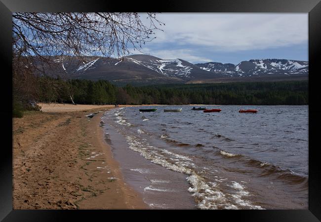 Waves on the beach at Loch Morlich Framed Print by Jacqi Elmslie