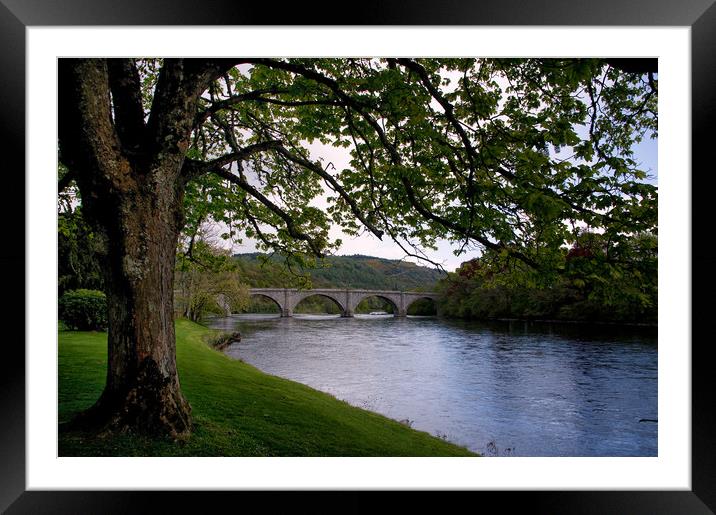The River Tay at Dunkeld Scotland Framed Mounted Print by Jacqi Elmslie