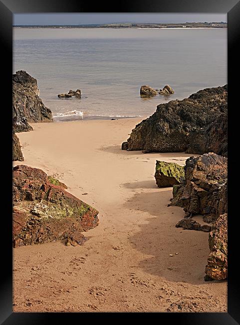 On The Beach Framed Print by Jacqi Elmslie