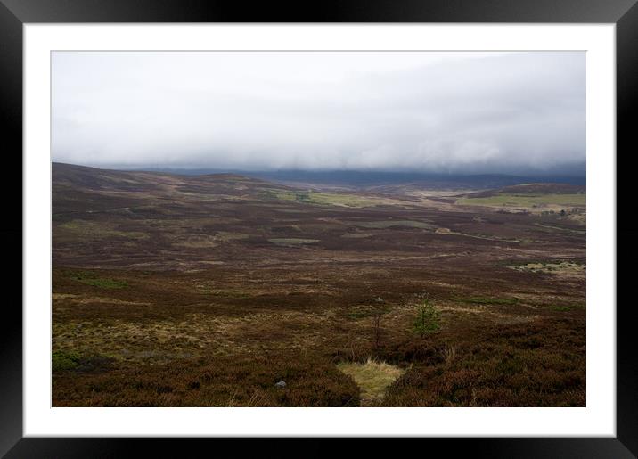 November Fog Highlands of Scotland Framed Mounted Print by Jacqi Elmslie