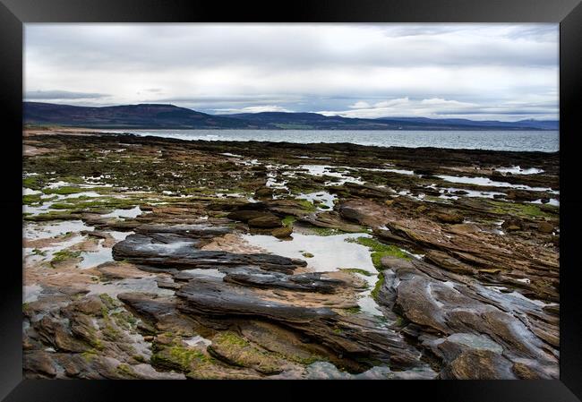 Rocks and Rock pools at Embo beach Scotland Framed Print by Jacqi Elmslie