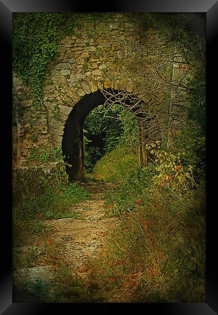 Take The Path Through The Arch Framed Print by Jacqi Elmslie