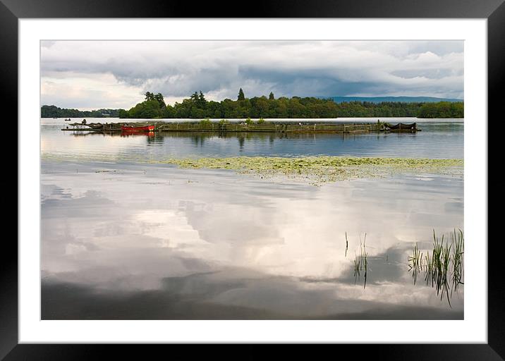 Evening Light on Lake Menteith Framed Mounted Print by Jacqi Elmslie