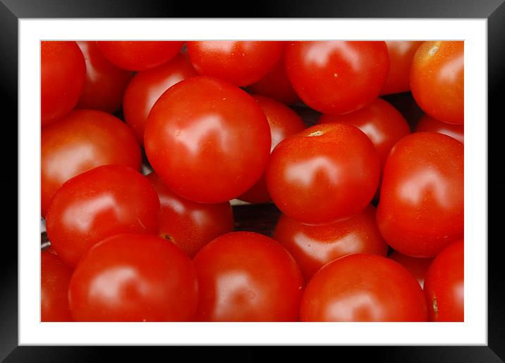 tomato Framed Mounted Print by john williams