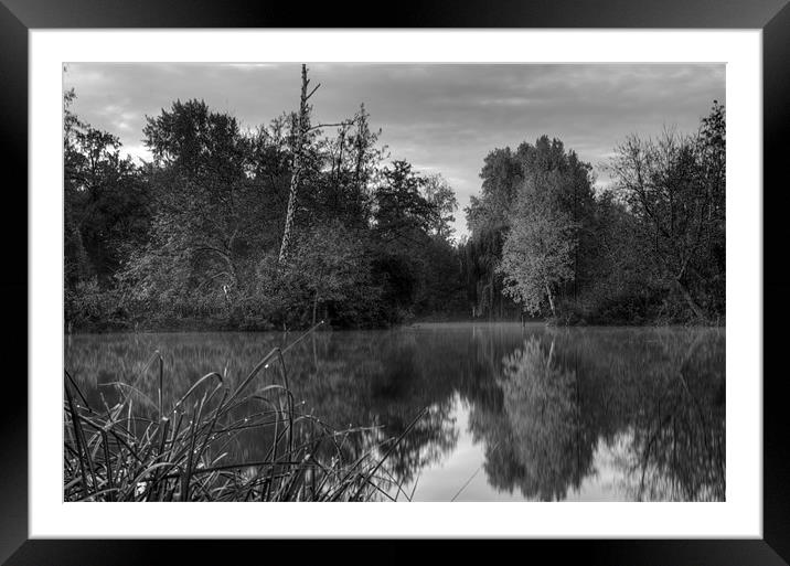 Early morning 2 Framed Mounted Print by john williams