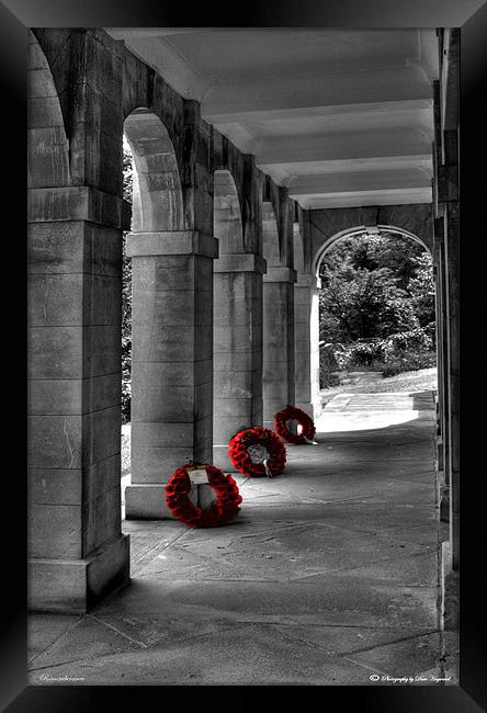 Rememberance Framed Print by Dave Hayward