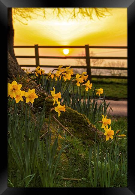 A Spring Sunset Framed Print by Jim kernan