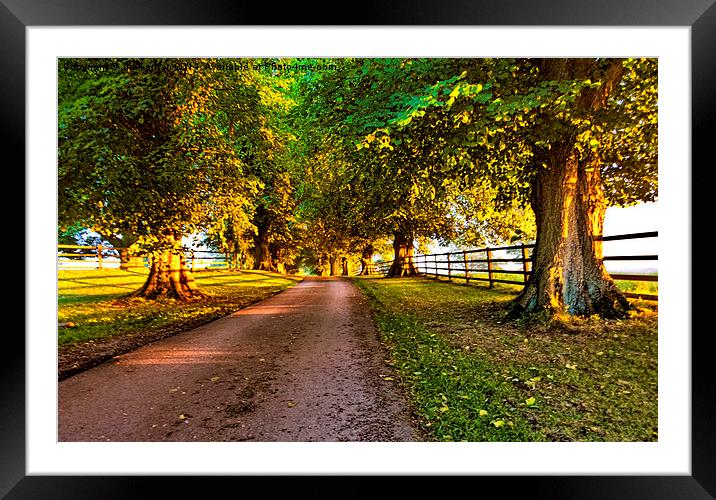 A Walk Down The Lane Framed Mounted Print by Jim kernan