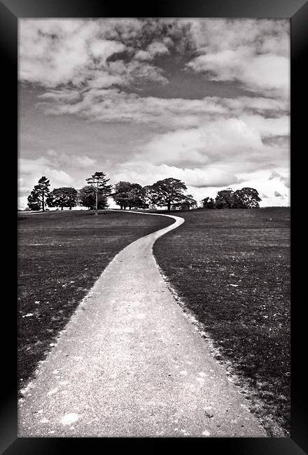 Stroll Down The Path Framed Print by Jim kernan