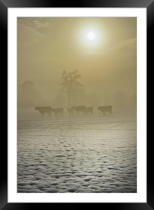 A Cold Misty Day Framed Mounted Print by Jim kernan