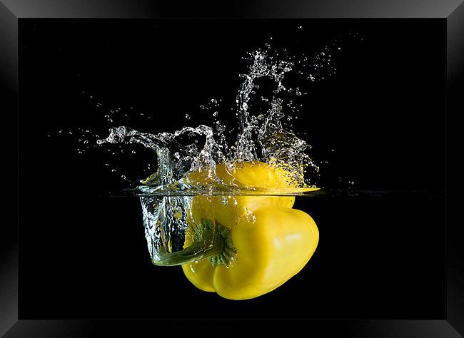 Yellow Pepper Splash Framed Print by Mark Squirrel
