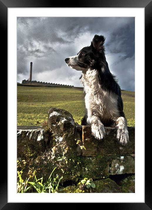 A Watchful Eye Framed Mounted Print by Alexander Mieszkowski