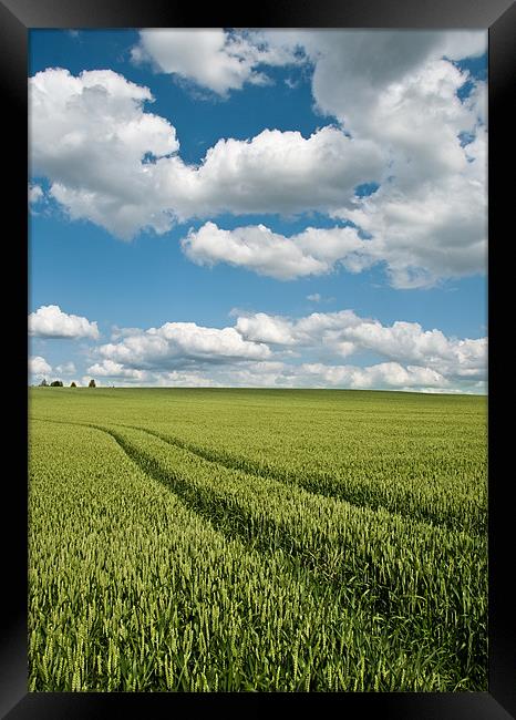 Wheat Field View Framed Print by Alexander Mieszkowski