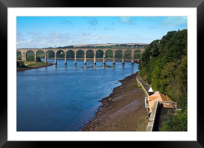 Royal Border Bridge Framed Mounted Print by Geoff Pickering