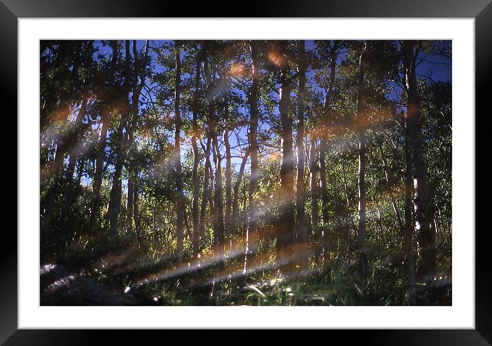 Light & Reflections One 3703_11955 Framed Mounted Print by Judith Schindler-Domser