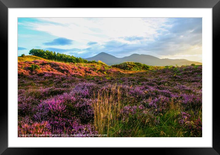 Murlough and the Mournes Framed Mounted Print by David McFarland