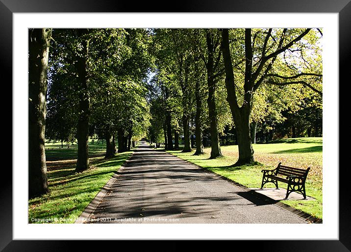 Lurgan Park avenue Framed Mounted Print by David McFarland