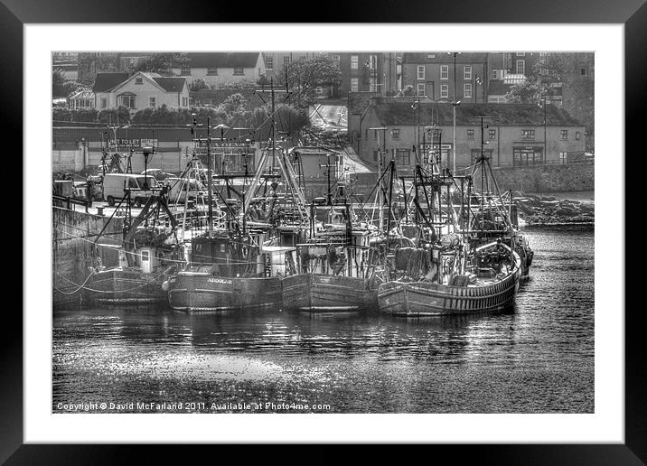 Ardglass fishing fleet Framed Mounted Print by David McFarland