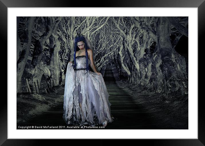 The Dark Bride Framed Mounted Print by David McFarland