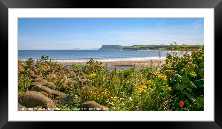 Wildflower Extravaganza at Ballycastle Framed Mounted Print by David McFarland
