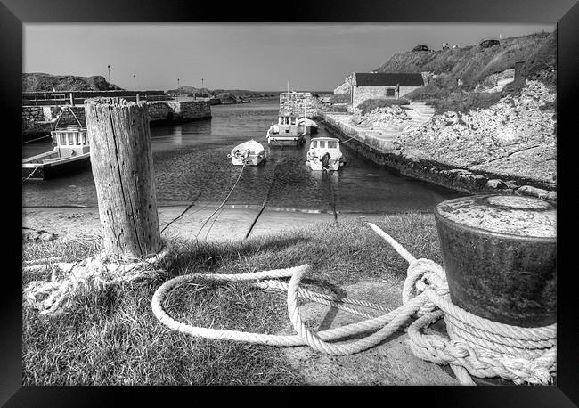 Tied up in Ballintoy Harbour Framed Print by David McFarland