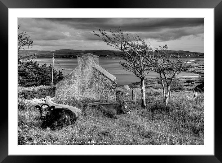 Harsh life in Donegal Framed Mounted Print by David McFarland