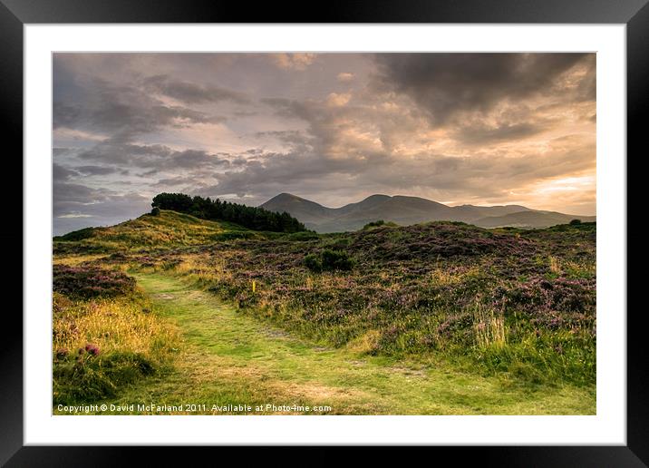 Murlough and the Mournes Framed Mounted Print by David McFarland